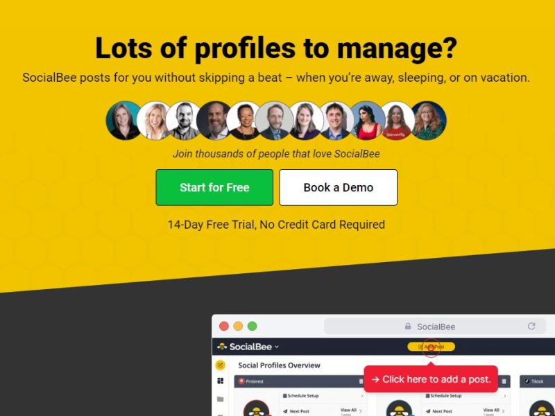 هوش مصنوعی SocialBee مدیریت همه حساب های رسانه های اجتماعی